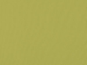 Zolic Acid Green 244 by Norbar Designer Fabric