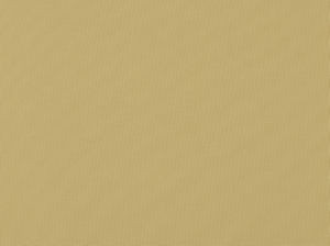 Zolic Ecru 112 by Norbar Designer Fabric