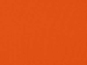 Zolic Salsa 329 by Norbar Designer Fabric