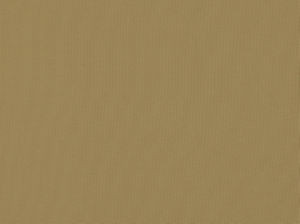 Zolic Sandstone 118 by Norbar Designer Fabric