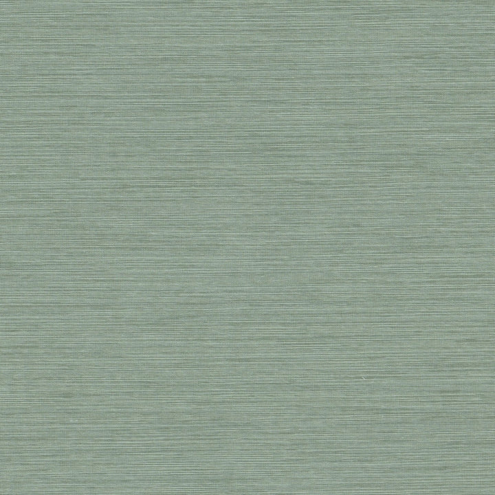 Zurich 1 Glacier by Stout Fabric Stout Fabric Zurich 1 GlacierFabric COLOR MY WINDOW HAZE/SHORELINE 100%POL INDIA </p><p>Repeat: H: 0.000, V: 0.000 54 in - Fabric Carolina -