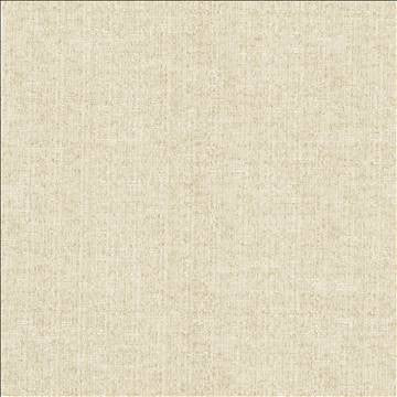 Zenith Chalk by Kasmir Designer Fabric