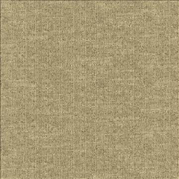 Zenith Coin by Kasmir Designer Fabric