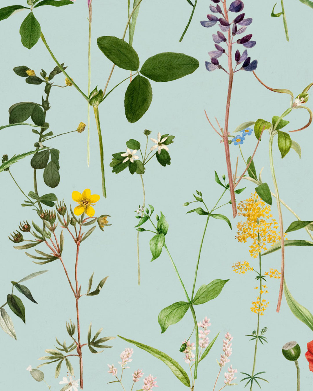 Aquafleur Aquamarine wallpaper by Mind the Gap (WP20174), swatch