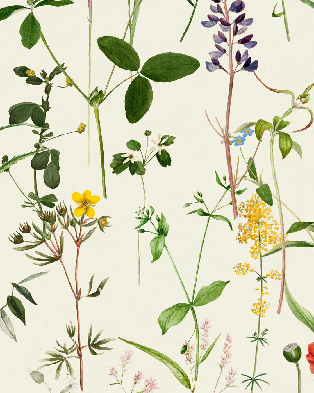 Aquafleur wallpaper by Mind the Gap (WP20175), swatch