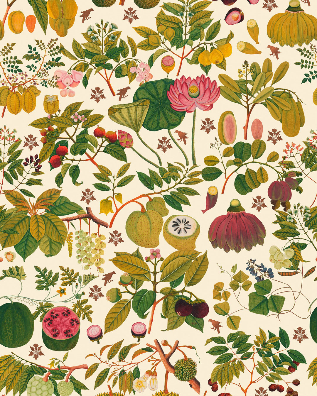 Asian Fruits And Flowers wallpaper by Mind the Gap (WP20315), swatch
