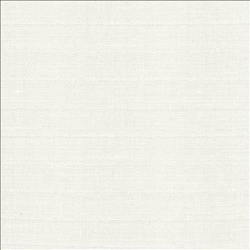 Abalone Ivory by Kasmir Designer Fabric 1449 86% Polyester 14% Viscose INDIA 98,000 Martindale Cycles H: N/A, V: N/A 55 - Swanky Fabrics - Kasmir