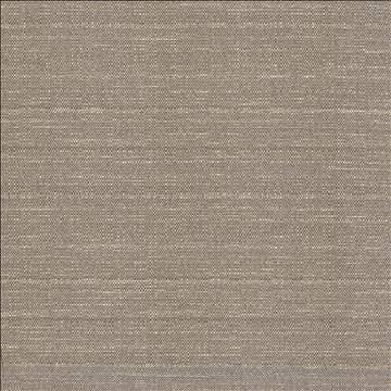 Abalone Mist by Kasmir Designer Fabric 1449 86% Polyester 14% Viscose INDIA 98,000 Martindale Cycles H: N/A, V: N/A 55 - Swanky Fabrics - Kasmir