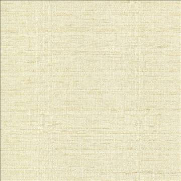 Abalone Opal by Kasmir Designer Fabric 1449 86% Polyester 14% Viscose INDIA 98,000 Martindale Cycles H: N/A, V: N/A 55 - Swanky Fabrics - Kasmir