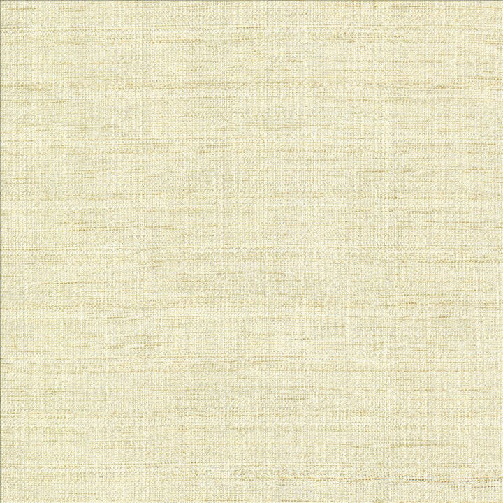 Abalone Opal by Kasmir Designer Fabric 1449 86% Polyester 14% Viscose INDIA 98,000 Martindale Cycles Horizontal: 0 Inches and Vertical: 0 Inches 55 - Swanky Fabrics -