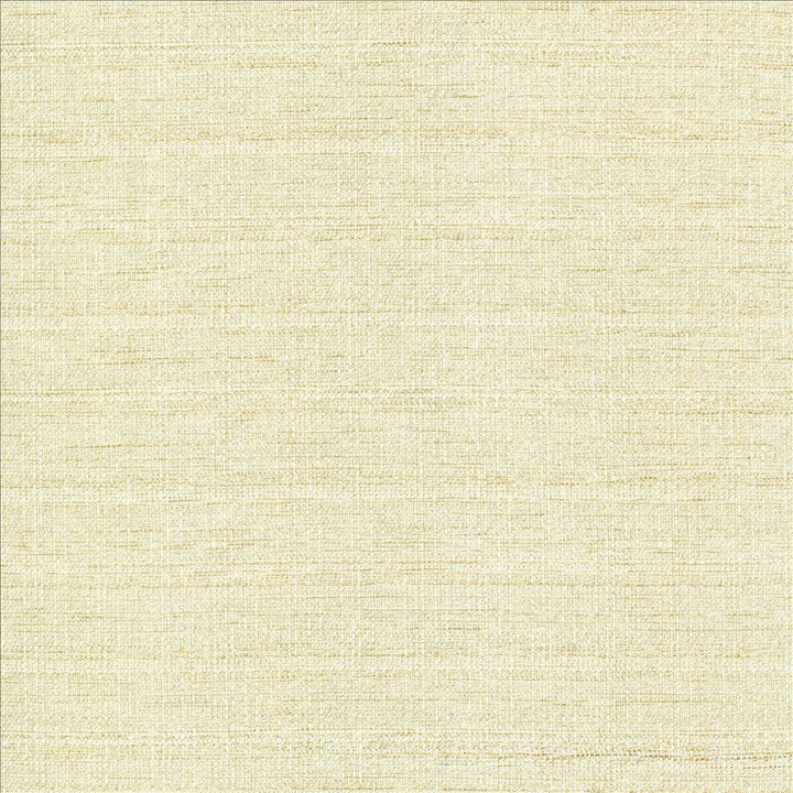 Abalone Opal by Kasmir Designer Fabric 1449 86% Polyester
14% Viscose
 INDIA 98,000 Martindale Cycles </p><p>Repeat: Horizontal: N/A and Vertical: N/A 55 - Swanky Fabrics -