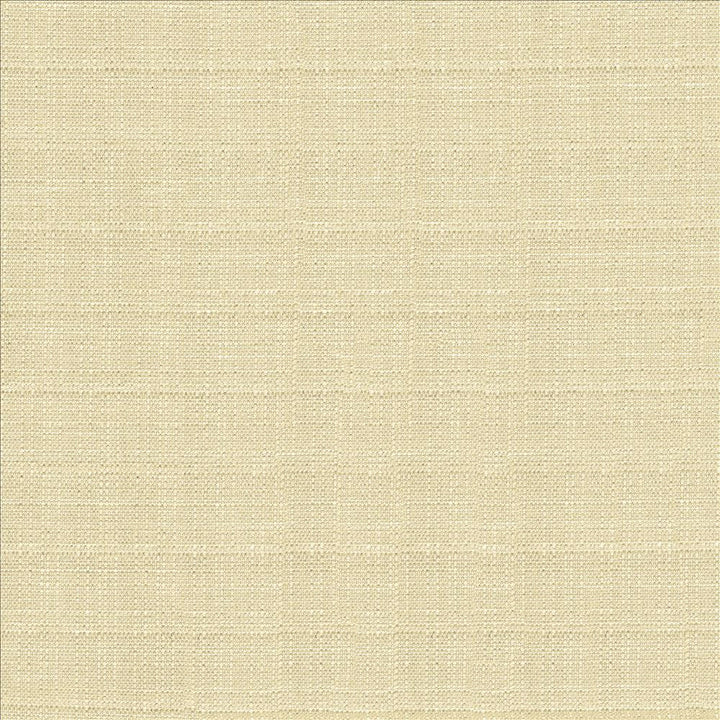 Abalone Oyster by Kasmir Designer Fabric 1449 86% Polyester
14% Viscose
 INDIA 98,000 Martindale Cycles </p><p>Repeat: Horizontal: N/A and Vertical: N/A 55 - Swanky Fabrics -