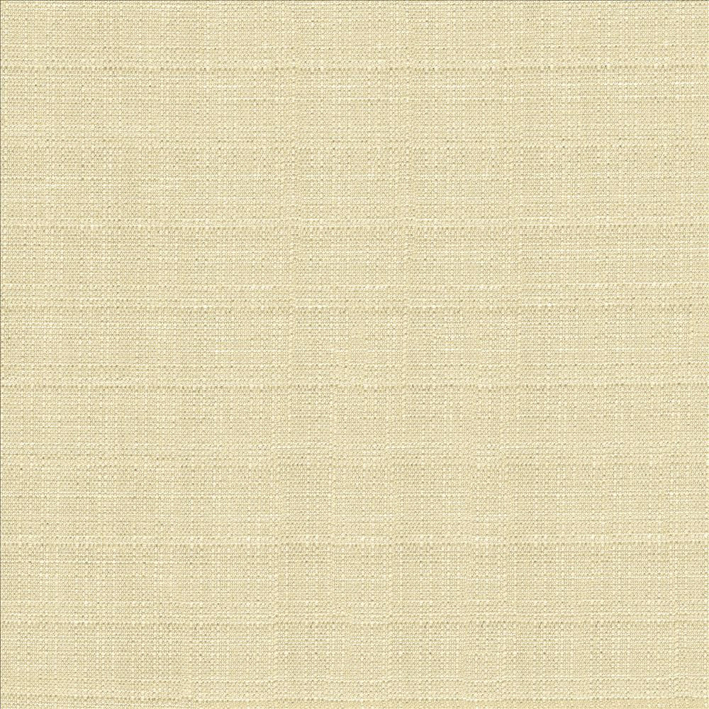 Abalone Oyster by Kasmir Designer Fabric 1449 86% Polyester
14% Viscose
 INDIA 98,000 Martindale Cycles </p><p>Repeat: Horizontal: N/A and Vertical: N/A 55 - Swanky Fabrics -