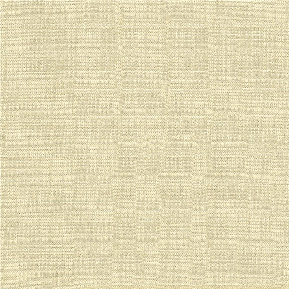 Abalone Oyster by Kasmir Designer Fabric 1449 86% Polyester
14% Viscose
 INDIA 98,000 Martindale Cycles </p><p>Repeat: Horizontal: N/A and Vertical: N/A 55 - Swanky Fabrics -