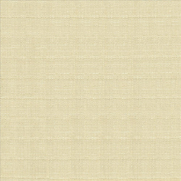 Abalone Oyster by Kasmir Designer Fabric 1449 86% Polyester
14% Viscose
 INDIA 98,000 Martindale Cycles </p><p>Repeat: Horizontal: N/A and Vertical: N/A 55 - Swanky Fabrics -