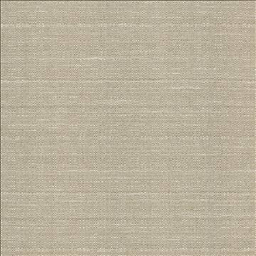 Abalone Vintage by Kasmir Designer Fabric 1449 86% Polyester 14% Viscose INDIA 98,000 Martindale Cycles H: N/A, V: N/A 55 - Swanky Fabrics - Kasmir