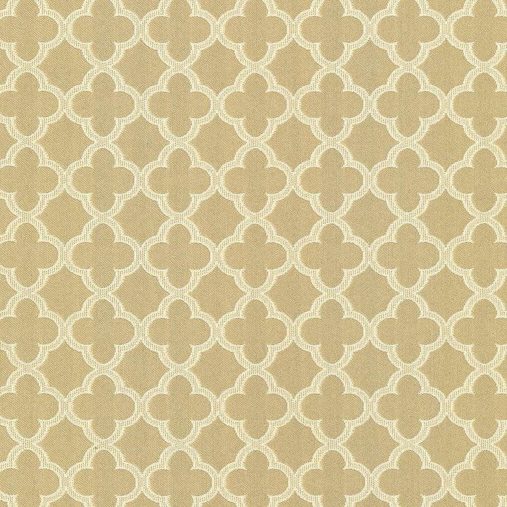 Abberley Trellis Dune by Kasmir Designer Fabric 1442 67% Rayon 33% Polyester CHINA 18,000 Wyzenbeek Double Rubs Horizontal: 1 4/8 inches and Vertical: 1 4/8 inches 54 - Swanky Fabrics -