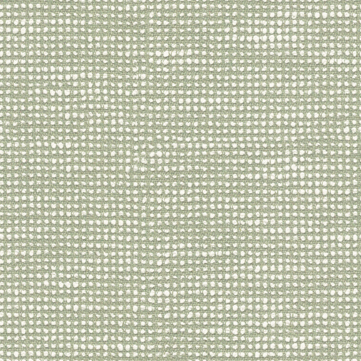 Slow Spirea SLO19107 by Sunbrella European Designer Fabric Sunbrella® Acrylic, Sunbrella® Polyester Horizontal: and Vertical: 55 in. - Swanky Fabrics -