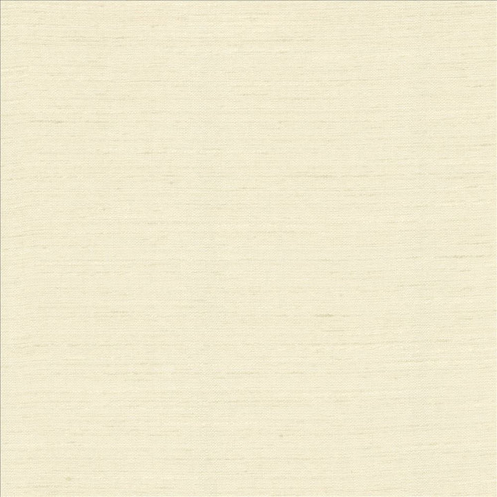 Adjoin Bone by Kasmir Designer Fabric 5170 100% Polyester
 INDIA 5,000 Wyzenbeek Double Rubs </p><p>Repeat: Horizontal: N/A and Vertical: N/A 54 - Swanky Fabrics -