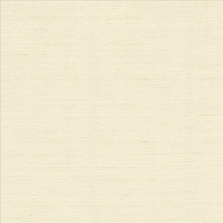 Adjoin Bone by Kasmir Designer Fabric See sample 100% Polyester
 INDIA 5,000 Wyzenbeek Double Rubs </p><p>Repeat: Horizontal: N/A and Vertical: N/A 54 - Swanky Fabrics -