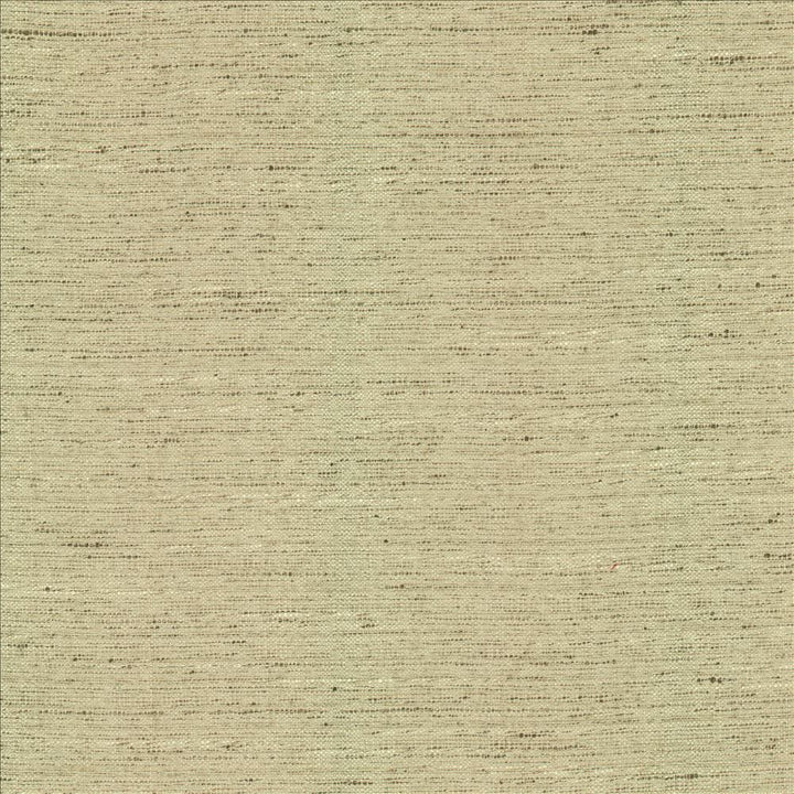 Adjoin Ecru  by Kasmir Designer Fabric 5170 100% Polyester
 INDIA 5,000 Wyzenbeek Double Rubs Horizontal: N/A and Vertical: N/A 54  - Swanky Fabrics -