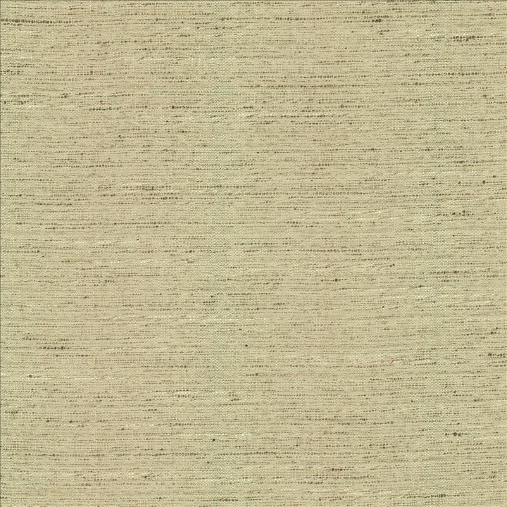 Adjoin Ecru by Kasmir Designer Fabric 5170 100% Polyester
 INDIA 5,000 Wyzenbeek Double Rubs </p><p>Repeat: Horizontal: N/A and Vertical: N/A 54 - Swanky Fabrics -
