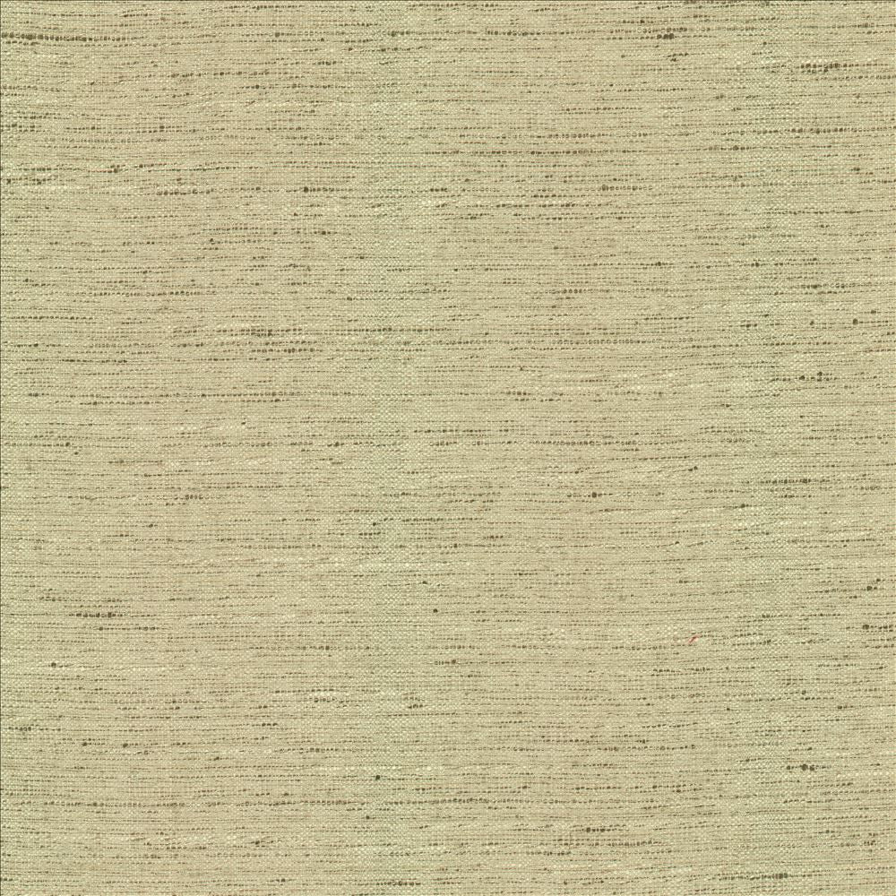 Adjoin Ecru by Kasmir Designer Fabric 5170 100% Polyester
 INDIA 5,000 Wyzenbeek Double Rubs </p><p>Repeat: Horizontal: N/A and Vertical: N/A 54 - Swanky Fabrics -
