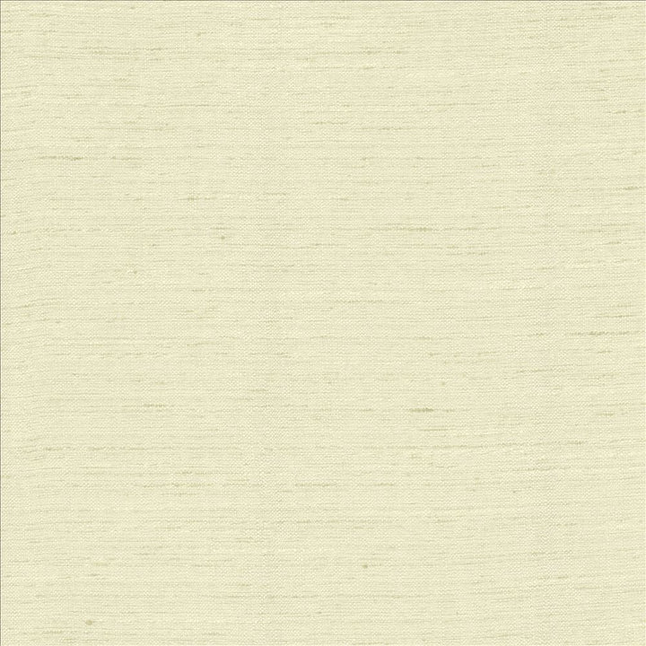 Adjoin Linen by Kasmir Designer Fabric 5170 100% Polyester
 INDIA 5,000 Wyzenbeek Double Rubs </p><p>Repeat: Horizontal: N/A and Vertical: N/A 54 - Swanky Fabrics -