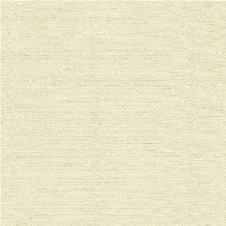 Adjoin Linen by Kasmir Designer Fabric 5170 100% Polyester
 INDIA 5,000 Wyzenbeek Double Rubs </p><p>Repeat: Horizontal: N/A and Vertical: N/A 54 - Swanky Fabrics -