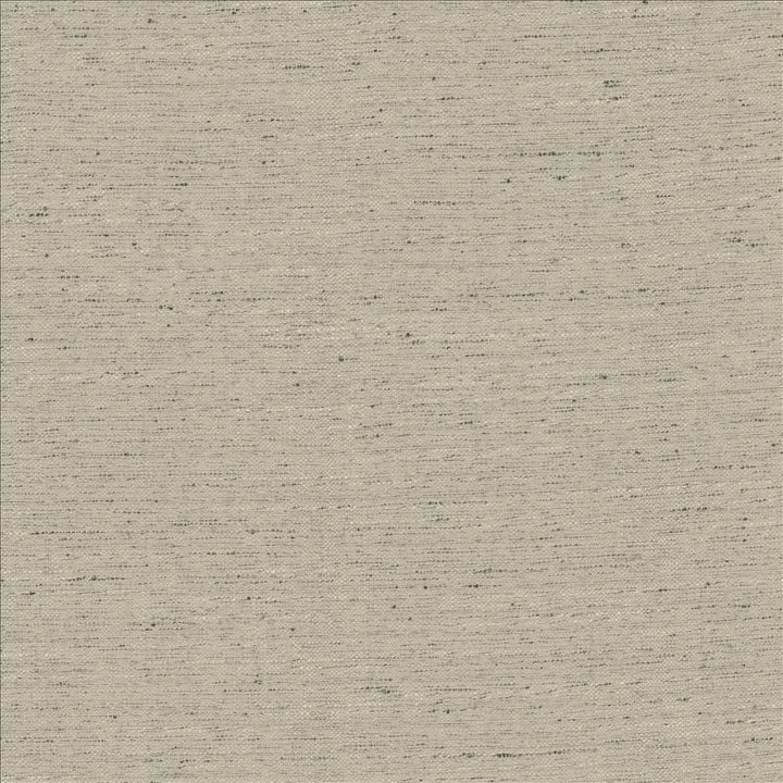Adjoin Mist by Kasmir Designer Fabric See sample 100% Polyester
 INDIA 5,000 Wyzenbeek Double Rubs </p><p>Repeat: Horizontal: N/A and Vertical: N/A 54 - Swanky Fabrics -