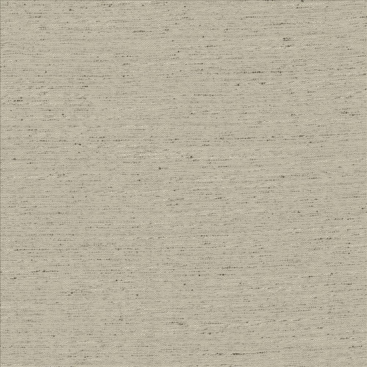 Adjoin Mist by Kasmir Designer Fabric 5170 100% Polyester
 INDIA 5,000 Wyzenbeek Double Rubs </p><p>Repeat: Horizontal: N/A and Vertical: N/A 54 - Swanky Fabrics -