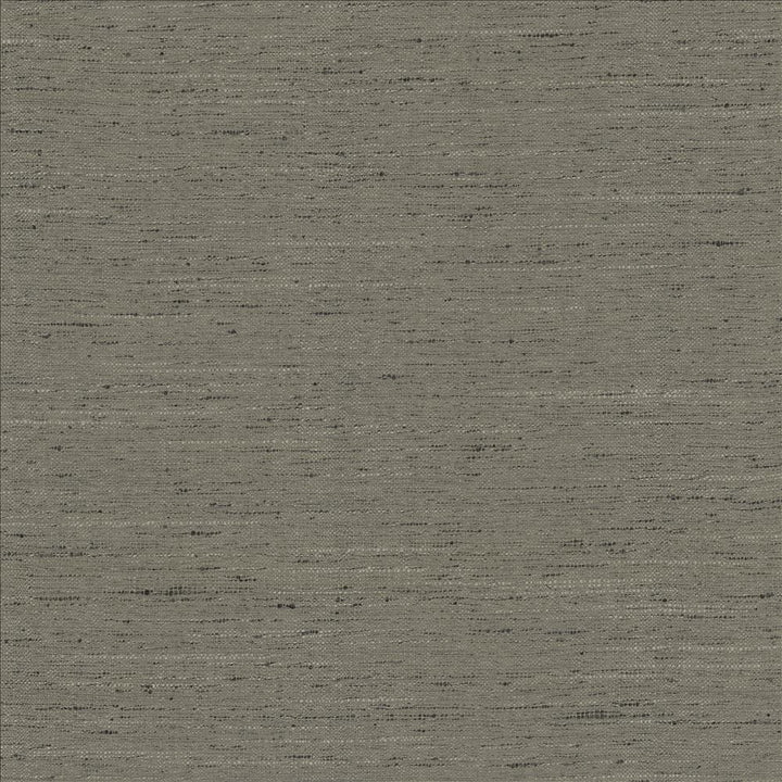 Adjoin Slate by Kasmir Designer Fabric See sample 100% Polyester
 INDIA 5,000 Wyzenbeek Double Rubs </p><p>Repeat: Horizontal: N/A and Vertical: N/A 54 - Swanky Fabrics -