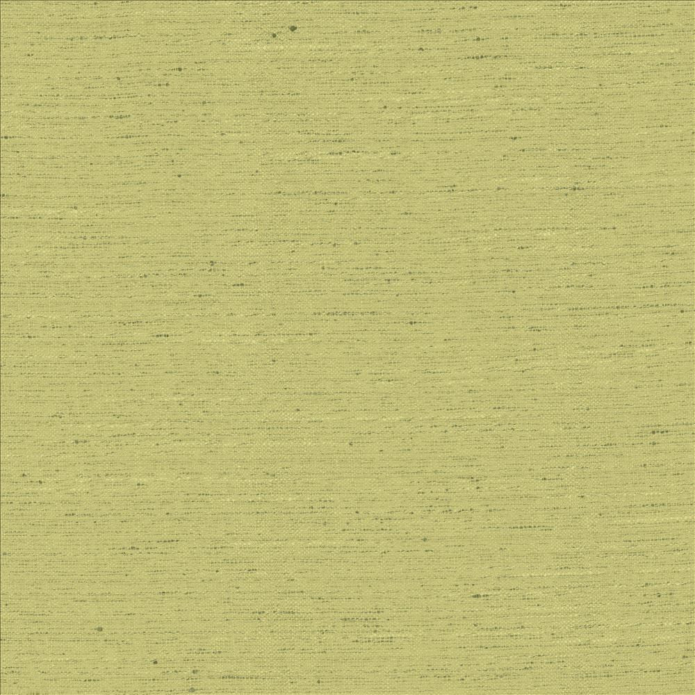 Adjoin Willow by Kasmir Designer Fabric 5170 100% Polyester
 INDIA 5,000 Wyzenbeek Double Rubs </p><p>Repeat: Horizontal: N/A and Vertical: N/A 54 - Swanky Fabrics -