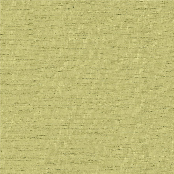Adjoin Willow by Kasmir Designer Fabric 5170 100% Polyester
 INDIA 5,000 Wyzenbeek Double Rubs </p><p>Repeat: Horizontal: N/A and Vertical: N/A 54 - Swanky Fabrics -