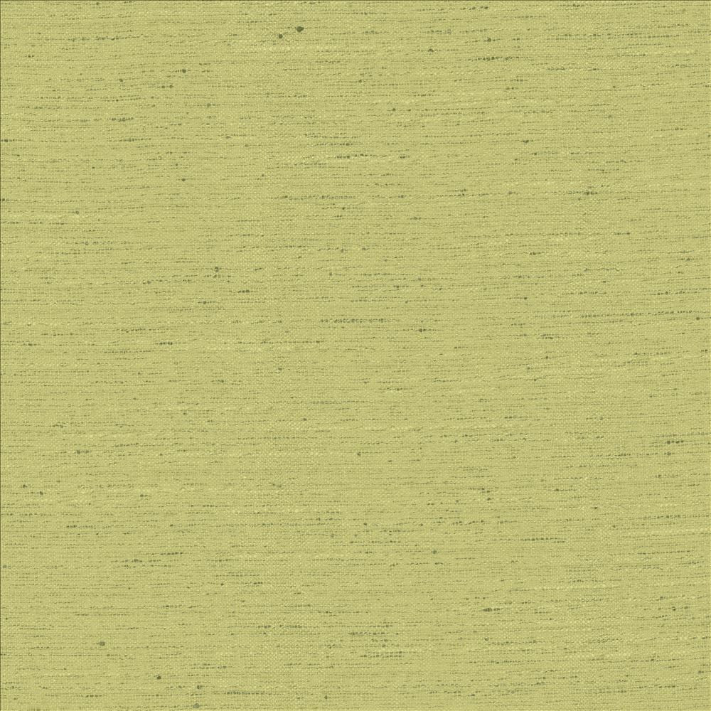 Adjoin Willow by Kasmir Designer Fabric 5170 100% Polyester
 INDIA 5,000 Wyzenbeek Double Rubs </p><p>Repeat: Horizontal: N/A and Vertical: N/A 54 - Swanky Fabrics -