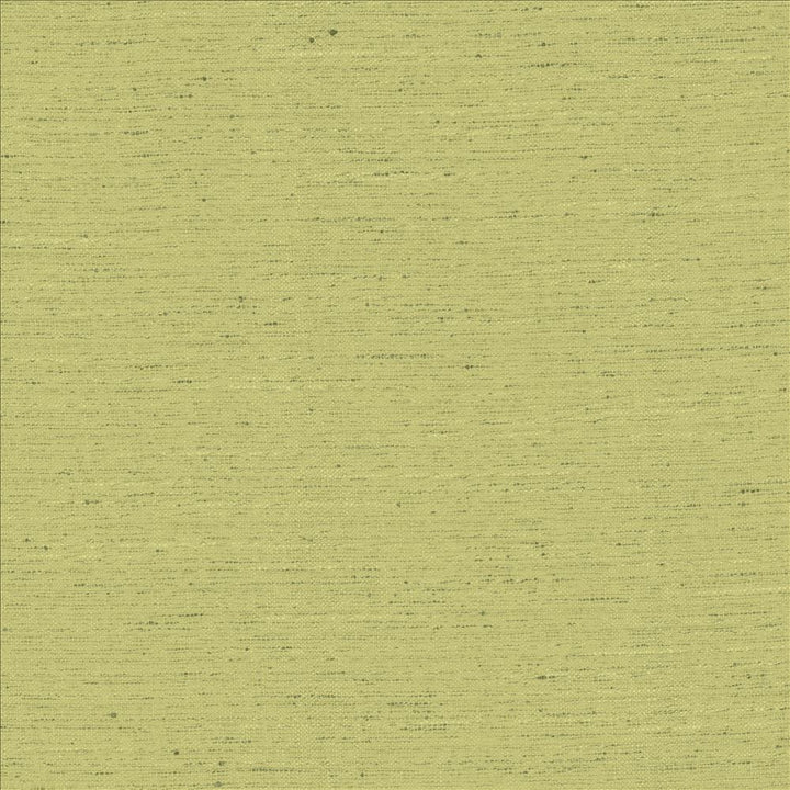 Adjoin Willow by Kasmir Designer Fabric 5170 100% Polyester
 INDIA 5,000 Wyzenbeek Double Rubs </p><p>Repeat: Horizontal: N/A and Vertical: N/A 54 - Swanky Fabrics -
