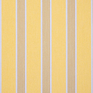 D107 Manosque Yellow by Sunbrella Designer Fabric
