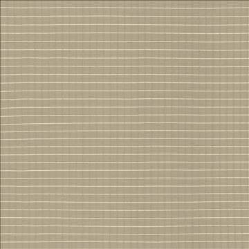 Alder Bark by Kasmir Designer Fabric 5092 100% Polyester INDIA Not Tested H: 4/8 inches, V: 4/8 inches 54 - Swanky Fabrics - Kasmir