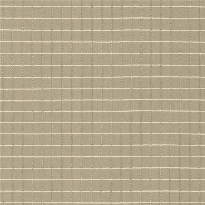 Alder Bark by Kasmir Designer Fabric 5092 100% Polyester
 INDIA Not Tested </p><p>Repeat: Horizontal: 4/8 inches and Vertical: 4/8 inches 54 - Swanky Fabrics -