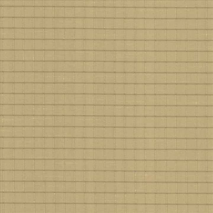 Alder Mustard by Kasmir Designer Fabric 5093 100% Polyester
 INDIA Not Tested </p><p>Repeat: Horizontal: 4/8 inches and Vertical: 4/8 inches 54 - Swanky Fabrics -