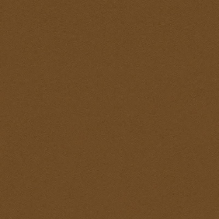 ALDWIN.6 by Kravet Smart Designer Fabric our website for purchase 100% Leather USA Heavy Horizontal: see sample and Vertical: see sample 54 inches - Swanky Fabrics -