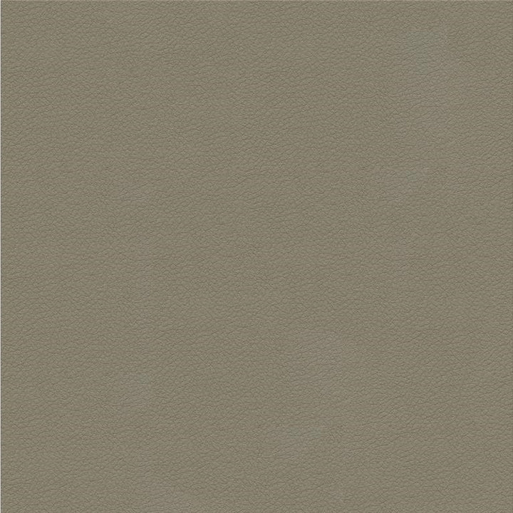 ALI.11 by Kravet Design Designer Fabric Ultraleather Plus IV 100% Leather Japan Heavy Horizontal: see sample and Vertical: see sample 54 inches - Swanky Fabrics -
