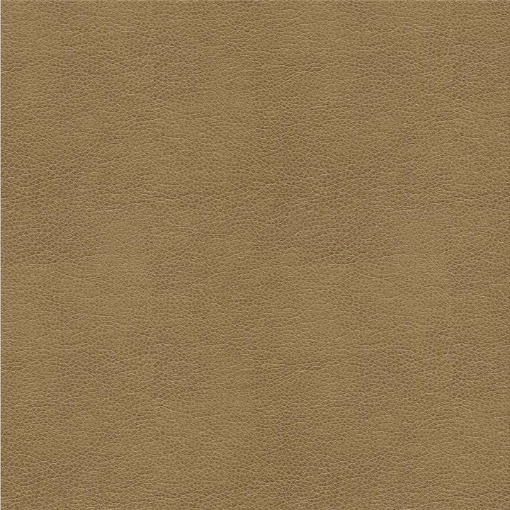 ALINA.106 by Kravet Smart Designer Fabric our website for purchase 100% Leather China Heavy Horizontal: see sample and Vertical: see sample 55 inches - Swanky Fabrics -