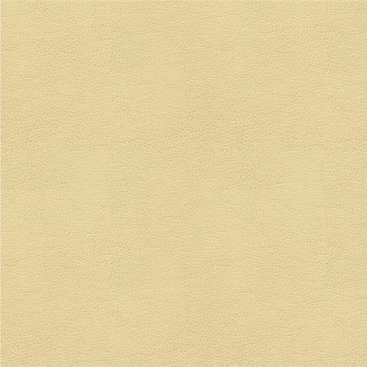 ALINA.116 by Kravet Smart Designer Fabric our website for purchase 100% Leather China Heavy Horizontal: see sample and Vertical: see sample 55 inches - Swanky Fabrics -
