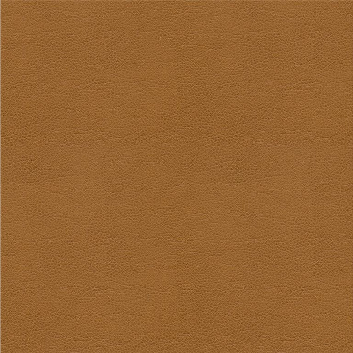 ALINA.16 by Kravet Smart Designer Fabric our website for purchase 100% Leather China Heavy Horizontal: see sample and Vertical: see sample 55 inches - Swanky Fabrics -
