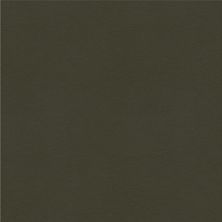 ALINA.21 by Kravet Smart Designer Fabric our website for purchase 100% Leather China Heavy Horizontal: see sample and Vertical: see sample 55 inches - Swanky Fabrics -