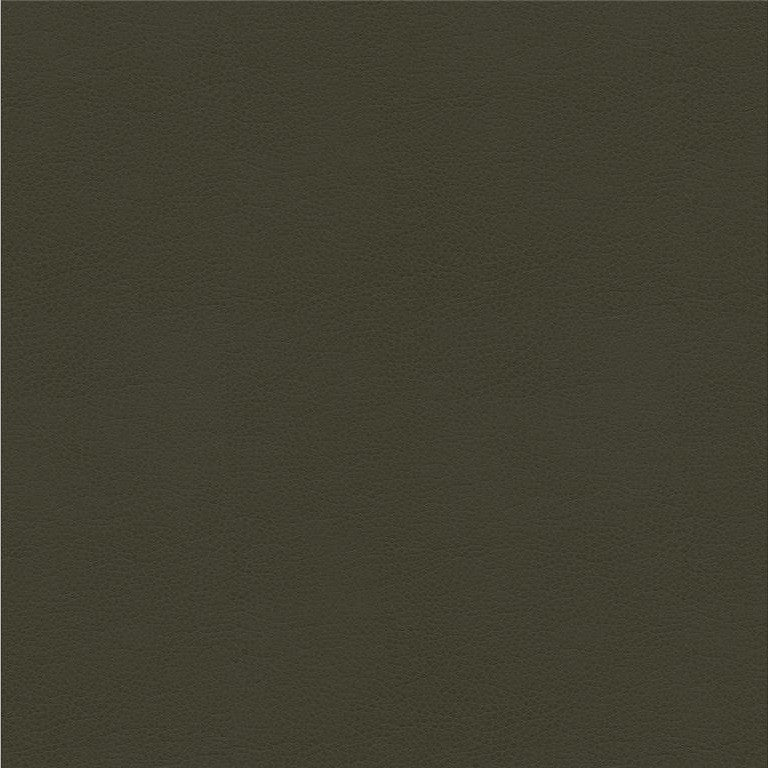 ALINA.21 by Kravet Smart Designer Fabric in our sample Polyurethane 100% China Heavy Horizontal: See Sample and Vertical: See Sample 55 inches - Swanky Fabrics -