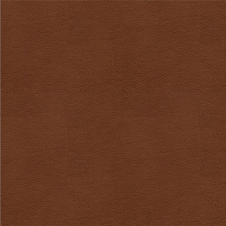 ALINA.6 by Kravet Smart Designer Fabric our website for purchase 100% Leather China Heavy Horizontal: see sample and Vertical: see sample 55 inches - Swanky Fabrics -