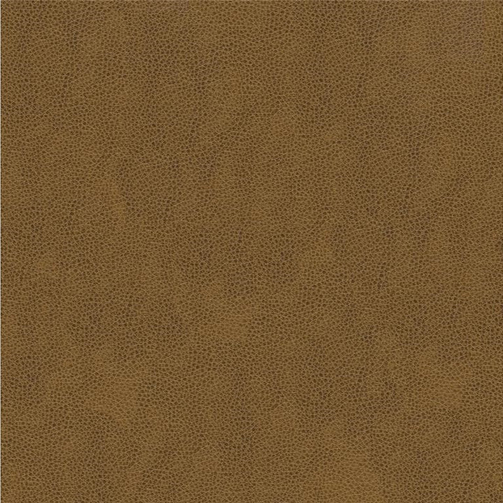 ALINA.616 by Kravet Smart Designer Fabric in our sample Polyurethane 100% China Heavy Horizontal: See Sample and Vertical: See Sample 55 inches - Swanky Fabrics -