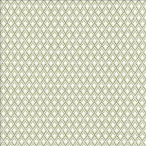 Altitude Sterling by Kasmir Designer Fabric